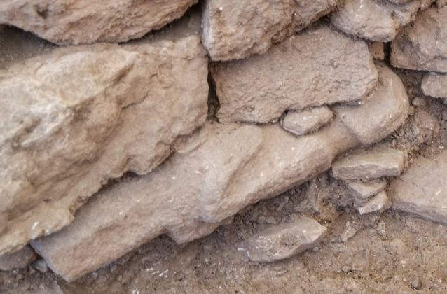 Göbeklitepe’deki İnsan Heykeli: Neolitik Çağ’a Bakışımızı Değiştiriyor