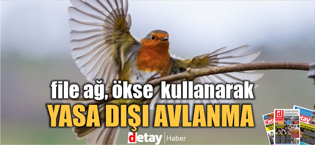 Kızıl Gerdan kuşunu yasak yöntemlerle avlarken yakalandı