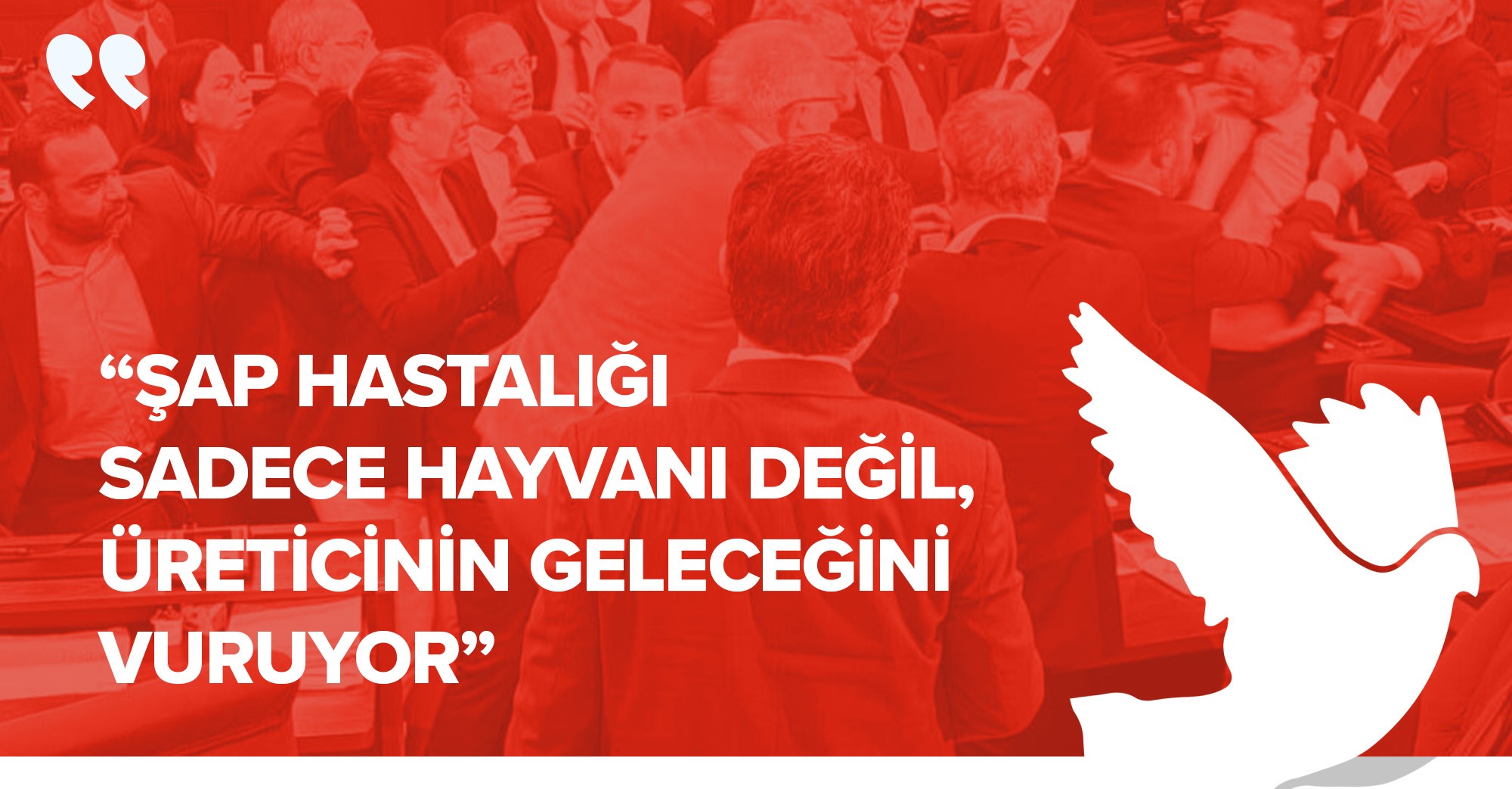 “Şap hastalığı sadece hayvanı değil, üreticinin geleceğini vuruyor”