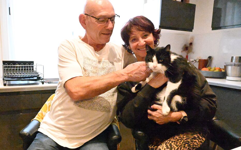 İspanya'da kaybolan kedi, dört ayda 250 kilometre yürüyüp Fransa'daki sahibine ulaştı