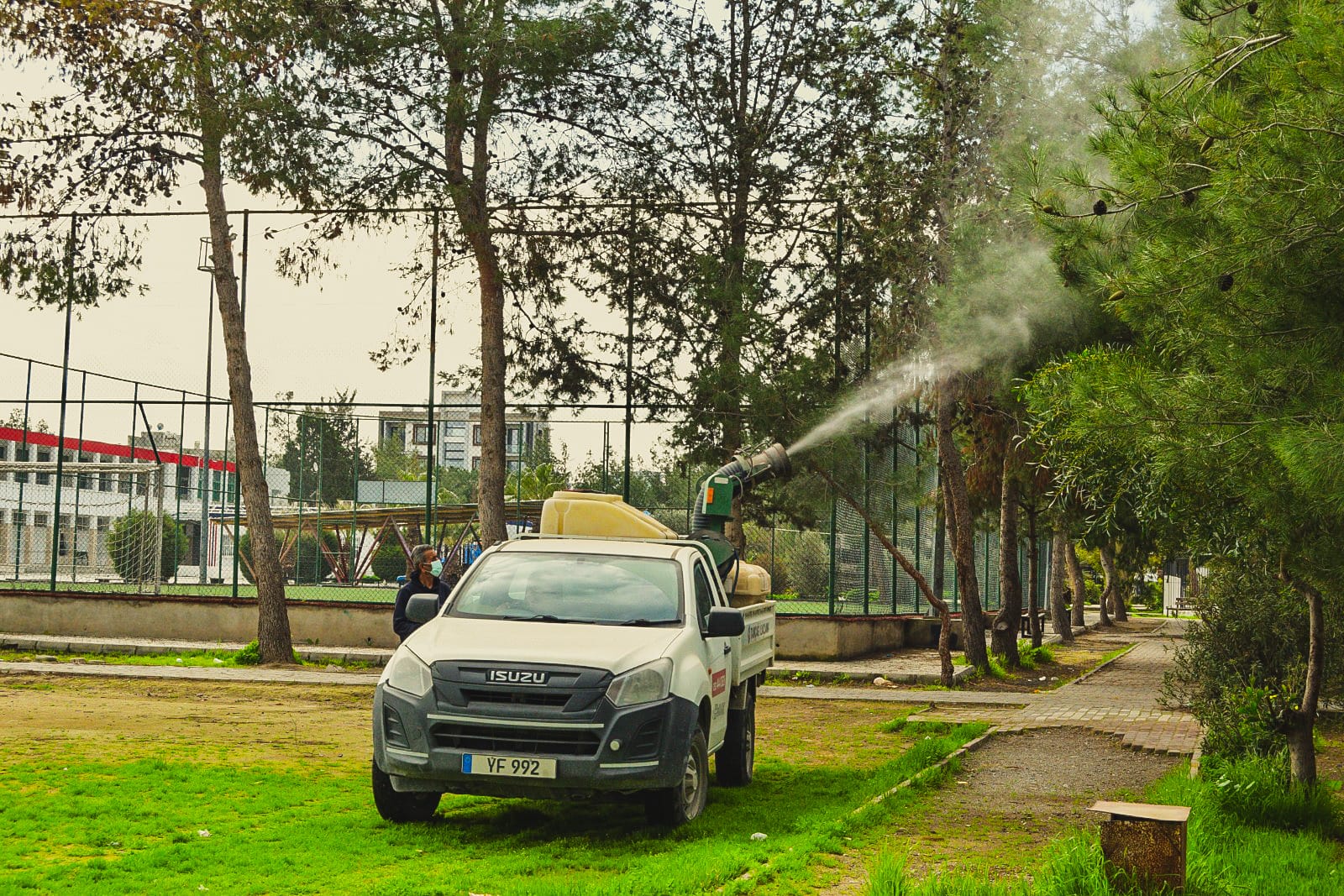 Lefkoşa Türk Belediyesi'nin çam kese böceğiyle mücadelesi sonuç verdi: Şikâyetler 9’a düştü