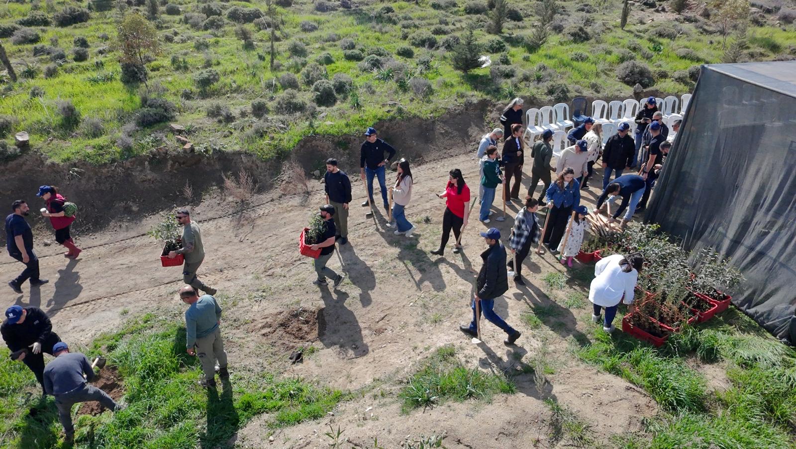 İMO Ormanı Büyüyor: Doğaya ve Geleceğe Nefes