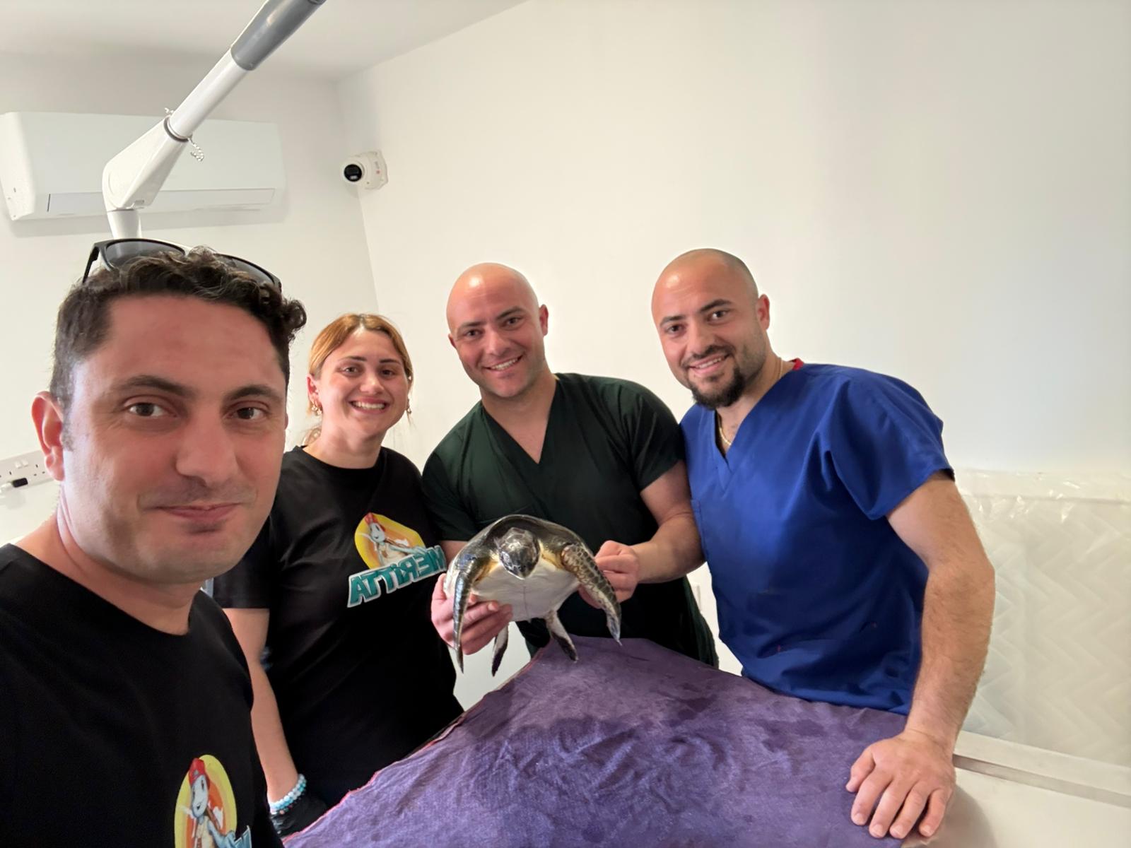 Yaralı Deniz Kaplumbağası Meritta İle Hayata Tutundu