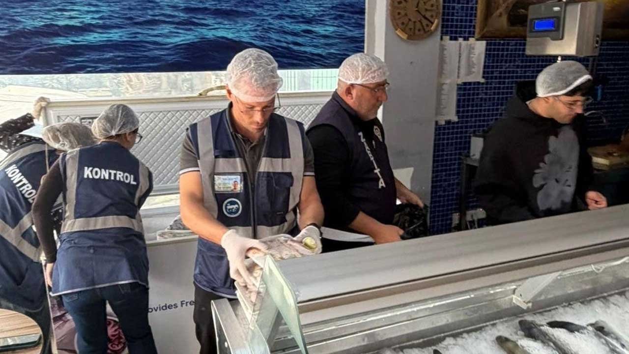 Gönyeli ve Alayköy bölgesindeki su ürünleri perakende satış yerleri denetlendi