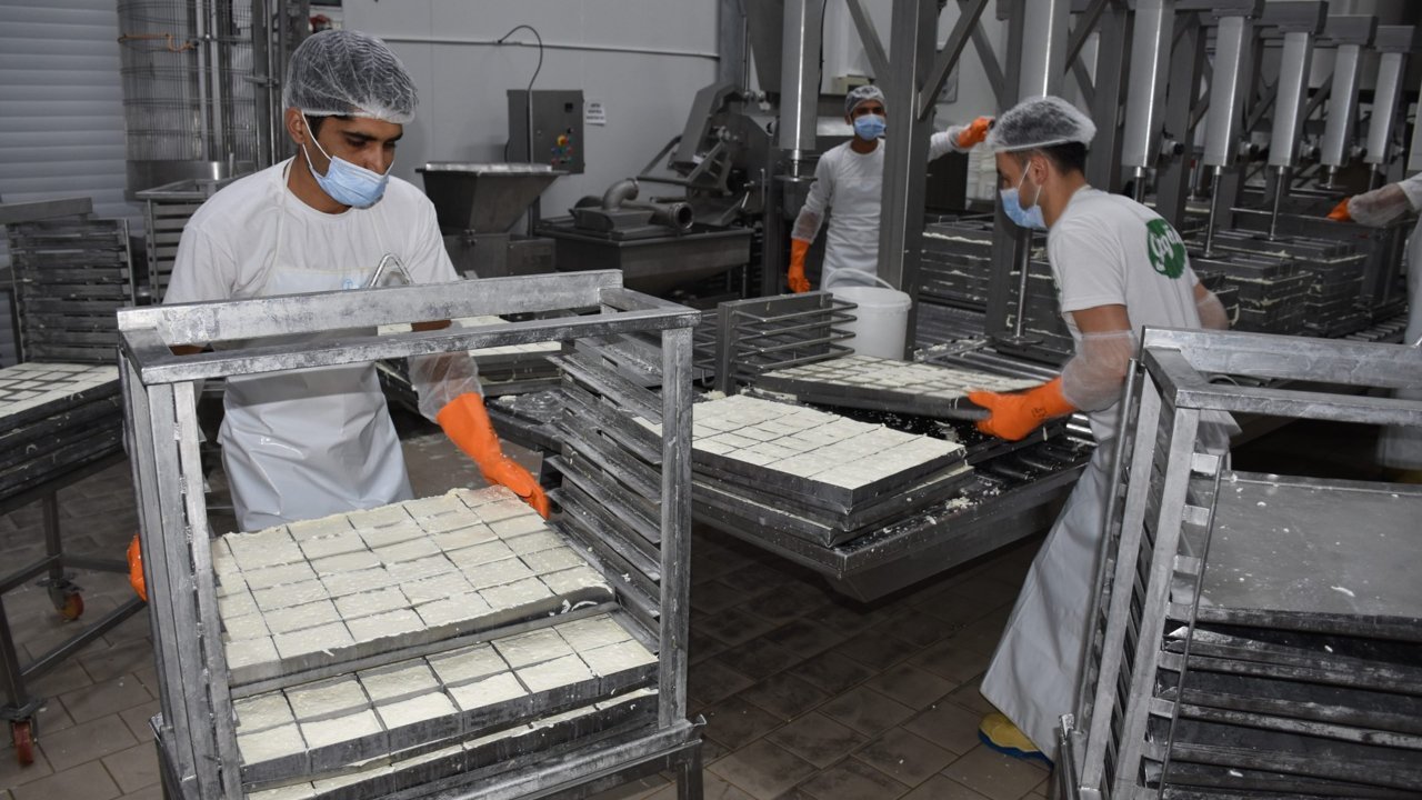 KTSO: Yeşil Hat üzerinden hellim ihracatındaki engel kalkıyor