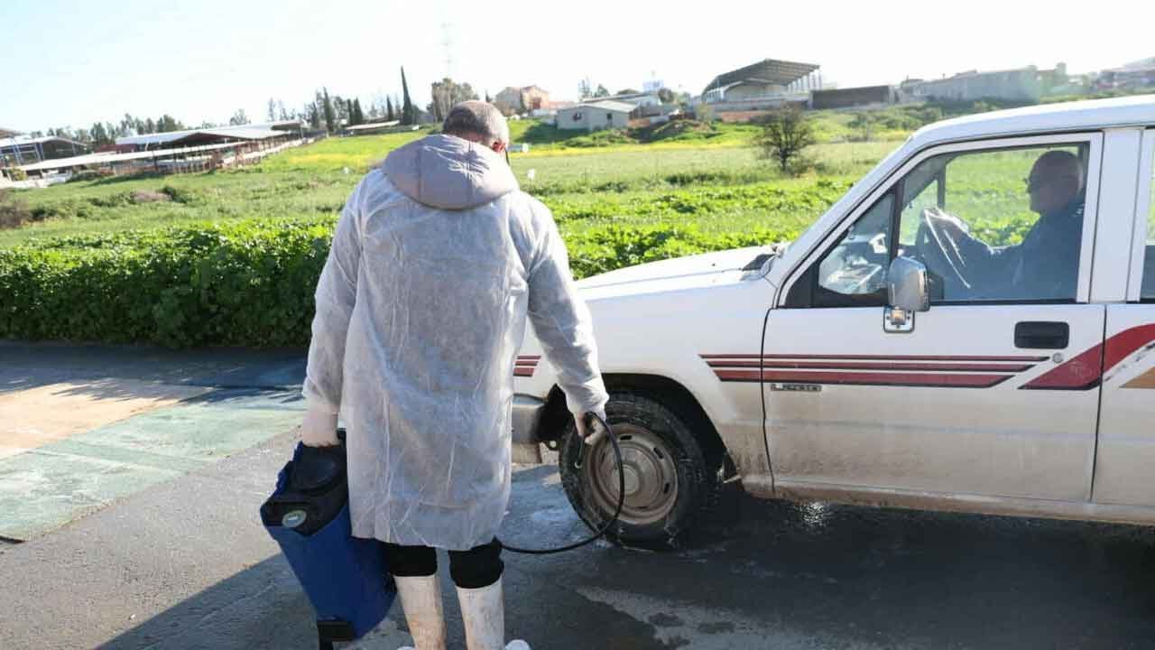 Güney Kıbrıs'ta şap hastalığı yayılıyor...Yedi çiftlikte daha hastalık tespit edildi