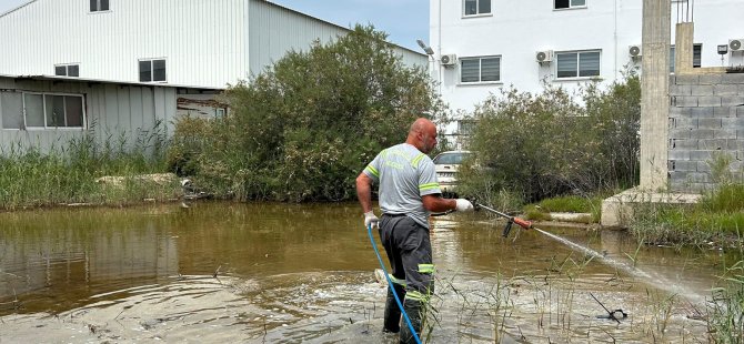 GMB sivrisinek mücadelesine devam ediyor