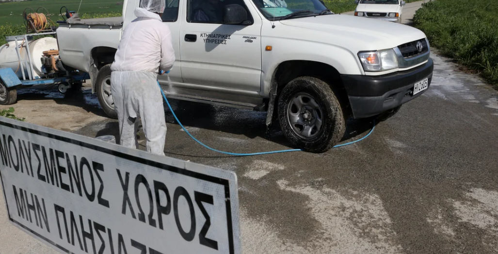 Şap Hastalığı... Rum Veteriner Hizmetleri, 'Toplam itlaf yasal bir zorunluluktur'