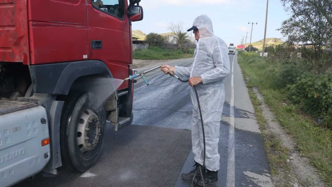 Şap hastalığı bir domuz çiftliğine daha sıçradı