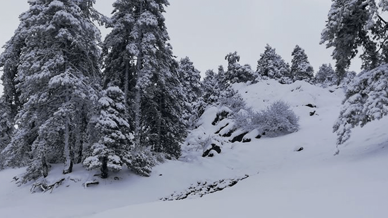 Troodos’ta Kar Bekleniyor: Hava Soğuyor
