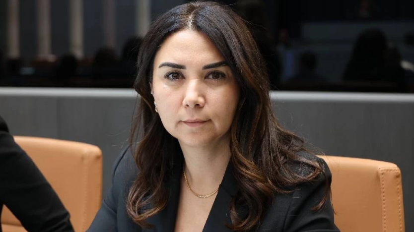 Ayşegül Baybars’tan muhaceret affı çıkışı: Turist olarak gelenleri neden affediyoruz?