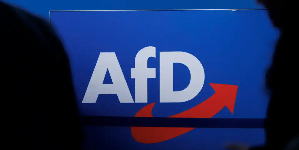 AfD iktidar olunca devlet kadrolarında tasviye planlıyor