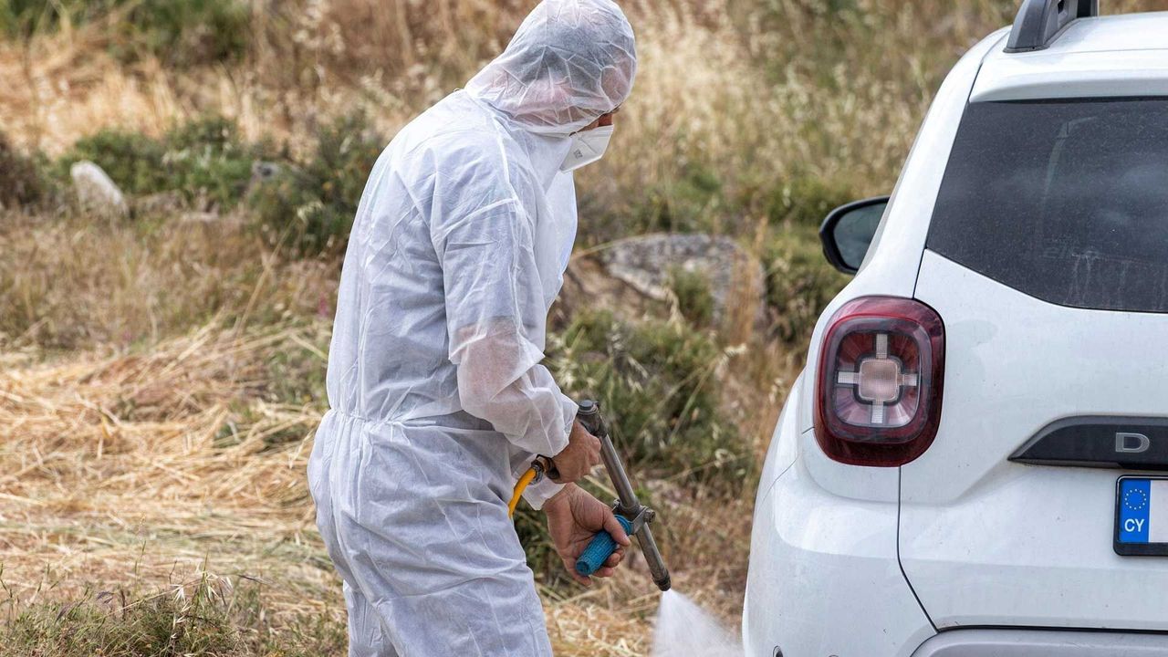 Güney Kıbrıs'ta 121 çiftlikte karantina devam ediyor