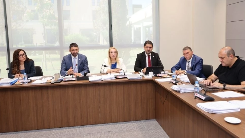 Merkezi Cezaevi yasa tasarısı oy birliğiyle Genel Kurul'a sevk edildi