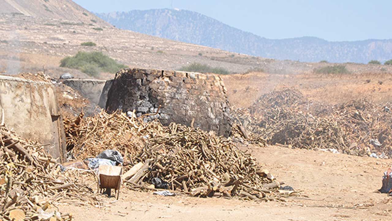 Yetkisiz kömür ocağı yaktı, tutuklandı