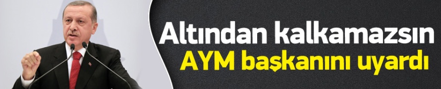 Erdoğan'dan AYM Başkanı'na çok sert tepki