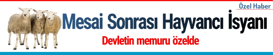 Mesai sonrası Hayvancı isyanı