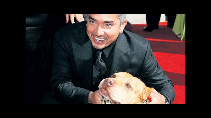 ‘Köpeklere fısıldayan adam’a eziyet suçlaması