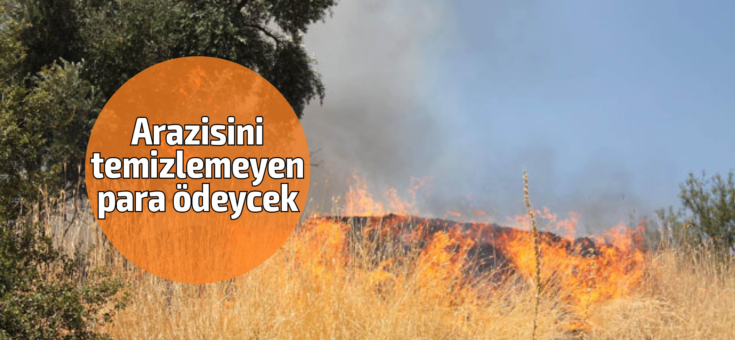 Lefkoşa’da temizlenmeyen mal ve arazilere net çözüm: ya temizle, ya öde!