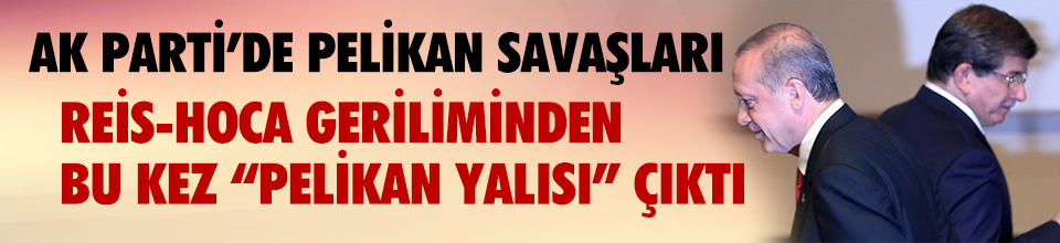 Pelikan Dosyasına karşı Pelikan Yalısı