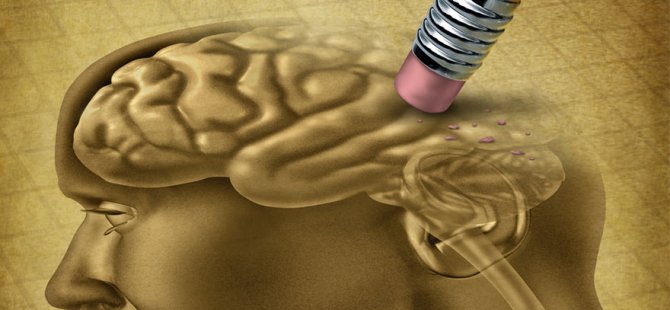 Alzheimer’ı önlemek için bunları yiyin