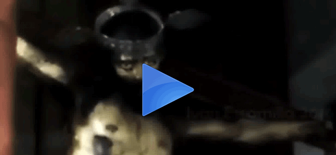 Meksika'da gözlerini açan İsa heykeli, şok etti!