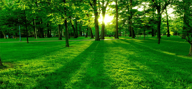 Çevre dersi zorunlu ders oluyor!