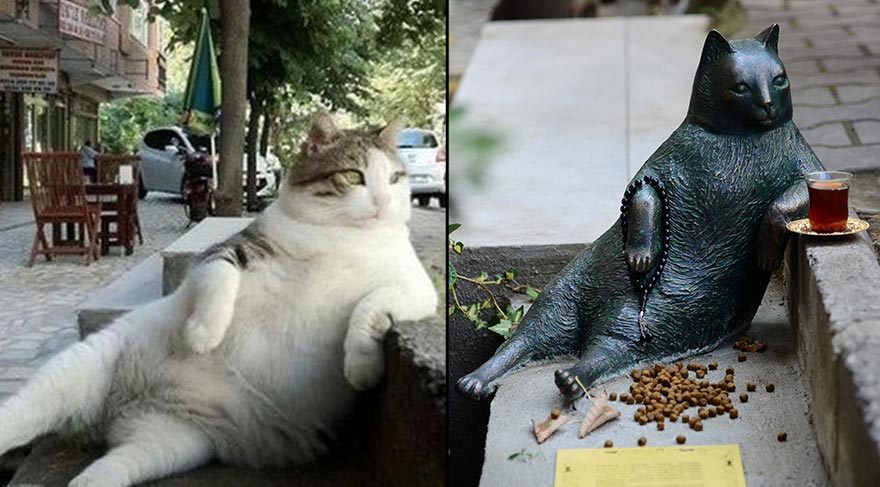 Fenomen kedi Tombili’nin heykeli çalındı