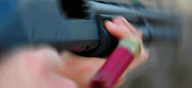 Aysergi'de akılalmaz olay!