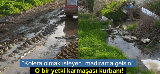 Yetki karmaşası, sağlıktan ediyor!