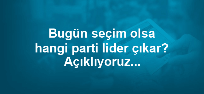 Detay Gazetesi'nden dev anket!