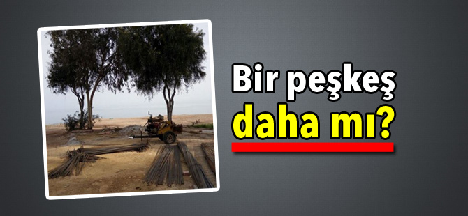 Mahkeme İskele'deki orman peşkeşine dur dedi!