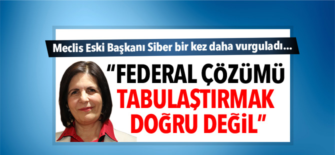 Siber: “Federal çözümü tabulaştırmak doğru değil”