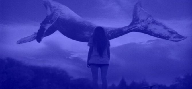 Çocuklarınızı intihar oyunu Mavi Balina'dan nasıl korursunuz?