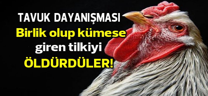 Örgütlü mücadele hayat kurtarır
