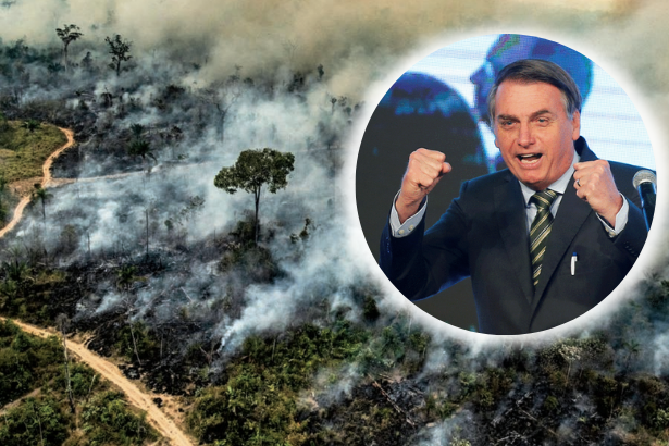 Brezilya’da Amazon’un talanı iki katına çıktı!