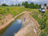 “Sivrisinekler için geç kalınmamalı”