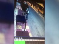 Mağusa’da Köpeğe Cinsel Saldırı!