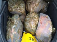 Yüzlerce kilo et toplatıldı!