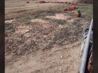 Üretici Mahsülünü Çöpe Döktü