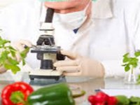 Gıda Denetim Sonuçları Açıklandı