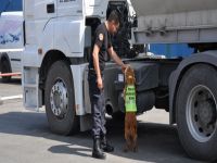 Narkotik ekiplerinde geniş kontrol