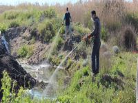 Sinek istilasına hazır olun