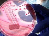 Sağlık Bakanlığı Sma Bilim Kurulundan 'Gen Tedavisi Uygulaması Şu An İçin Uygun Değil' Değerlendirmesi