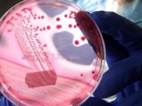 SMA hastalığında gen tedavisine ilişkin yeterli klinik deneme bulunmuyor