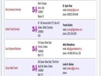 GAÜ, Yorkville’in önerilen üniversiteler listesinde