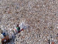 Hindistan'da izdiham: 18 ölü