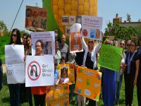 "GDO'ya hayır" eylemi yapıldı