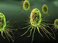 Kanser tedavisinde IORT avantajı