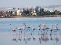 Larnaka Tuz Gölü’ne saplanan iki araç beş gündür çıkarılamıyor